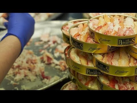 Delicias del mar: Carne de cangrejo