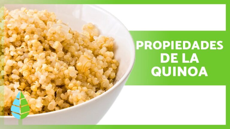 Beneficios nutricionales de las hamburguesas de quinoa