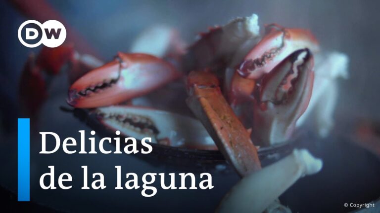 Explorando el Sabor Aut&eacute;ntico de la Caza