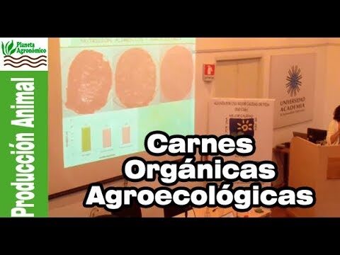 Los beneficios de la carne org&aacute;nica