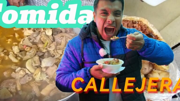 Explorando los Sabores &Uacute;nicos de la Comida Callejera