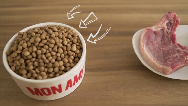 El origen de la carne fresca: una mirada concisa