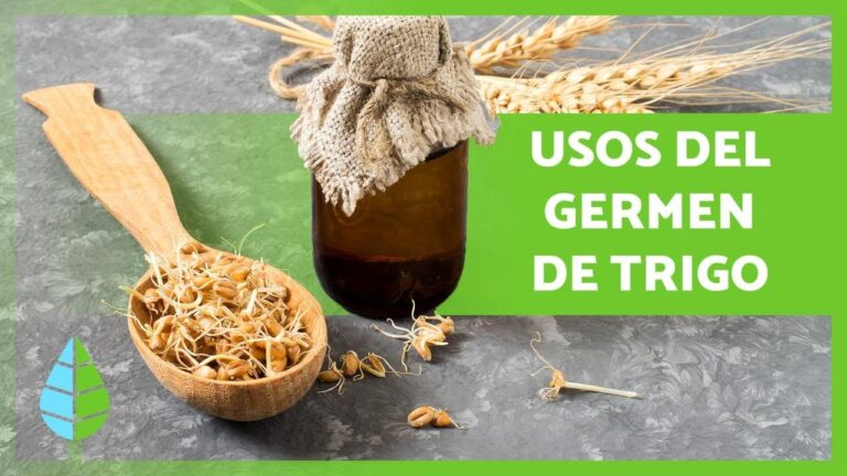 Los beneficios de incluir trigo en tu dieta