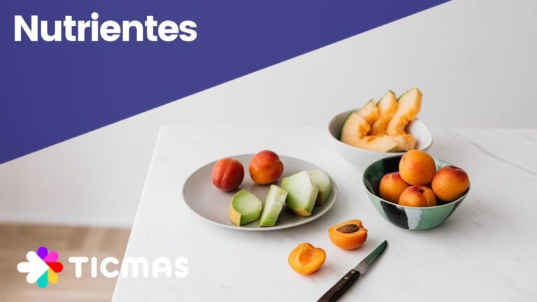 Beneficios nutricionales de las carnes org&aacute;nicas