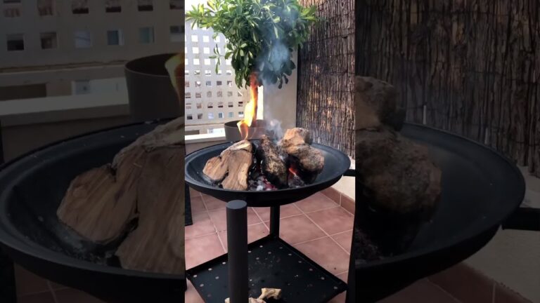 Maestría en la parrilla: Cómo perfeccionar tus destrezas con carnes