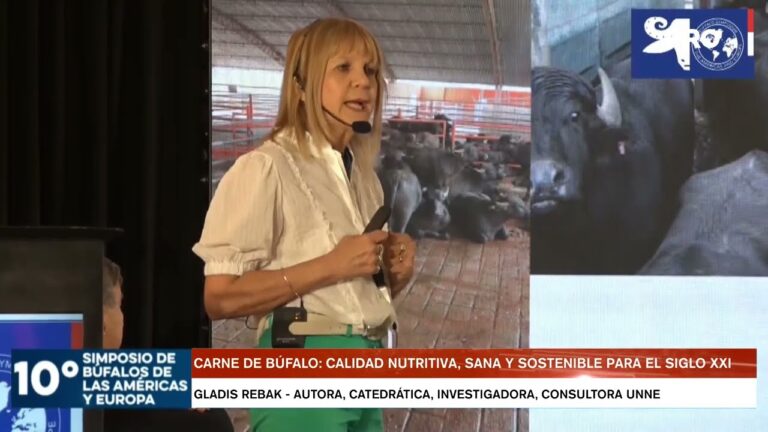 D&oacute;nde comprar carne de b&uacute;falo de calidad