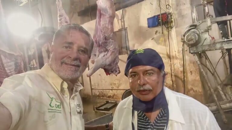 Guía para una Crianza Responsable de Búfalos para Carne