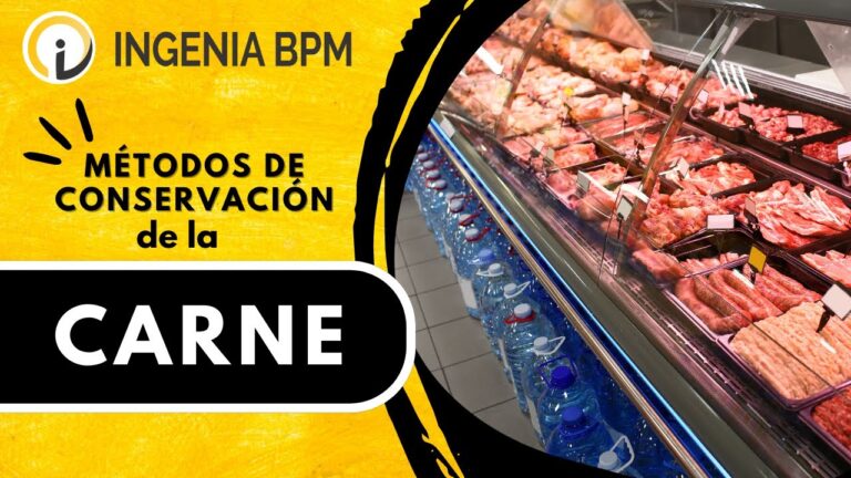 Gu&iacute;a para el almacenamiento adecuado de la longaniza