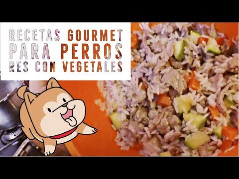 Beneficios de Incorporar Carnes Orgánicas en tu Dieta