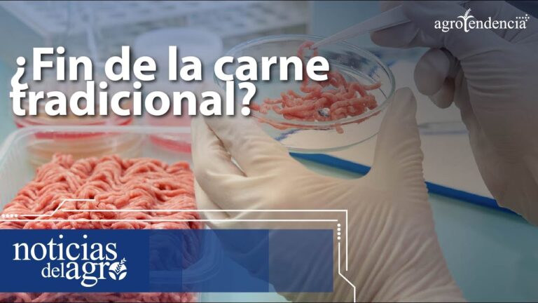 Avances en la sostenibilidad de la industria c&aacute;rnica org&aacute;nica