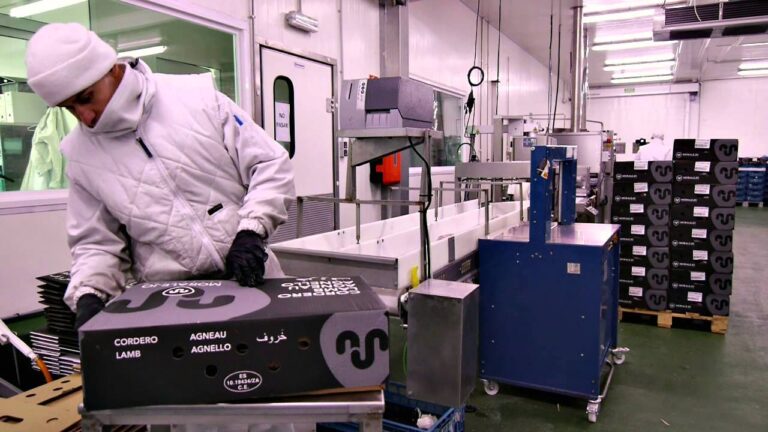 Avances en la Innovaci&oacute;n de Embutidos de Cordero