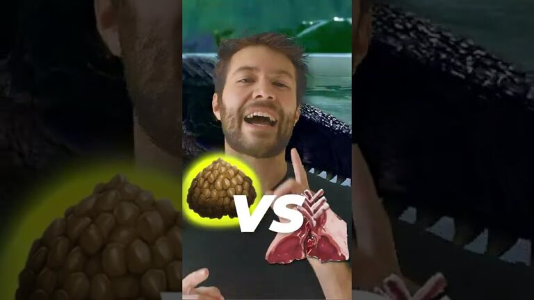 Curiosidades de la carne de cordero