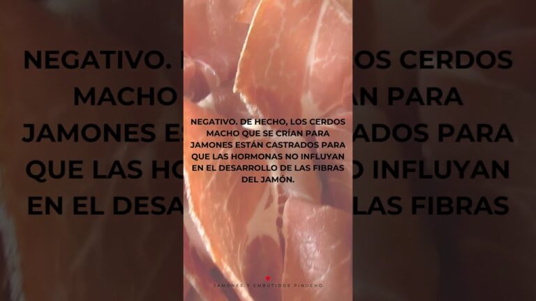 Origen y tradici&oacute;n de embutidos ib&eacute;ricos