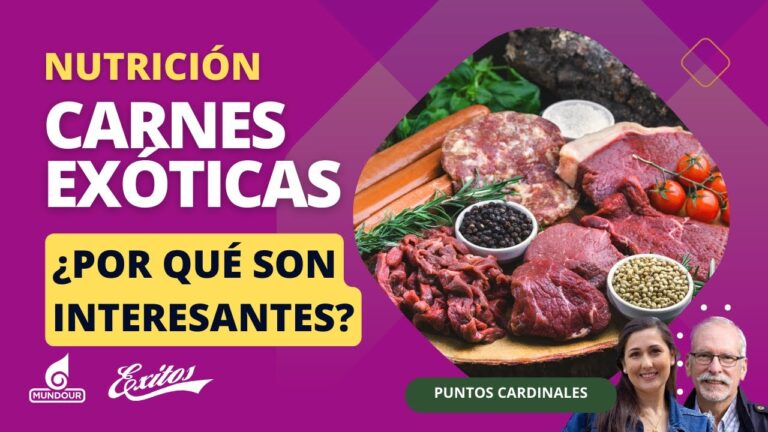 Descubre los secretos de las carnes ex&oacute;ticas