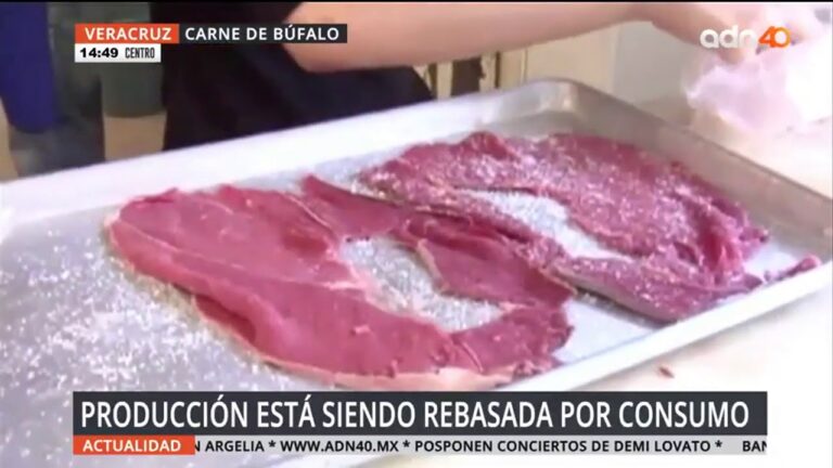 Beneficios de la carne de b&uacute;falo sobre otras carnes