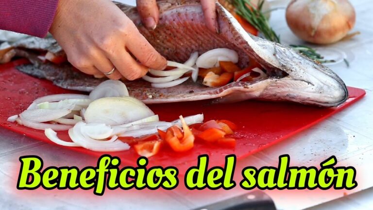 Los beneficios del salmón: una opción saludable