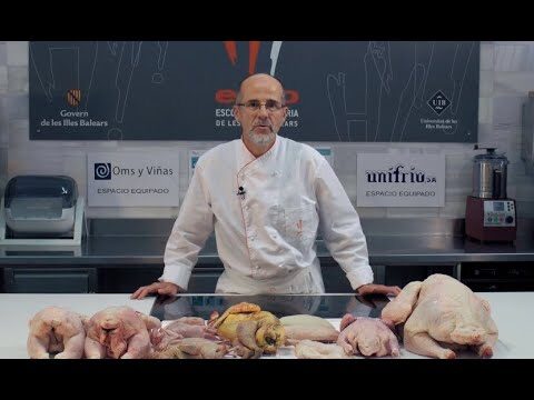 Variedades de cortes de carne de pato: una guía completa