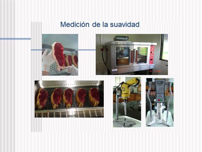 La importancia de la calidad de la carne de res