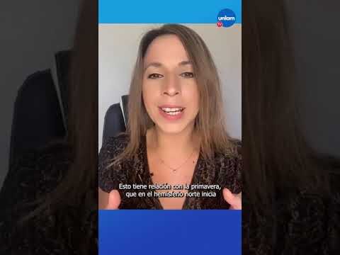 Curiosidades de las salchichas de conejo