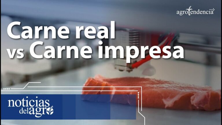 Innovaci&oacute;n en hamburguesas Angus: Lo &uacute;ltimo en sabores y calidad